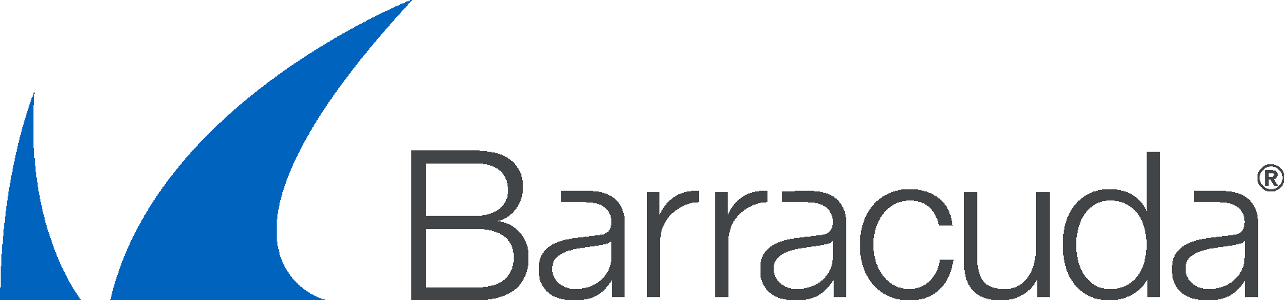 Barracuda-Networks-old-Logo-Vector.svg-